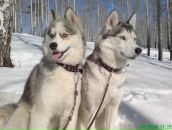 Расуль Садыков фотография #9 (источник - https://vk.com/id117937520)