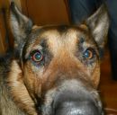 Фотография Ветра Дмитрия