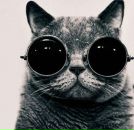 Ірина Оксамитна фотография #26 (источник - https://vk.com/id151850255)