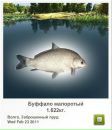 Сергій Брусяк фотография #12 (источник - https://vk.com/id58153311)