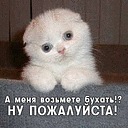 Віта Кубова фотография #30 (источник - https://vk.com/id67238860)