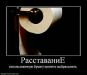  фотография #34