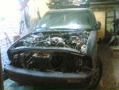 Фотография Петрова Романа