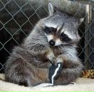 Фотография Курсаковой Екатерины