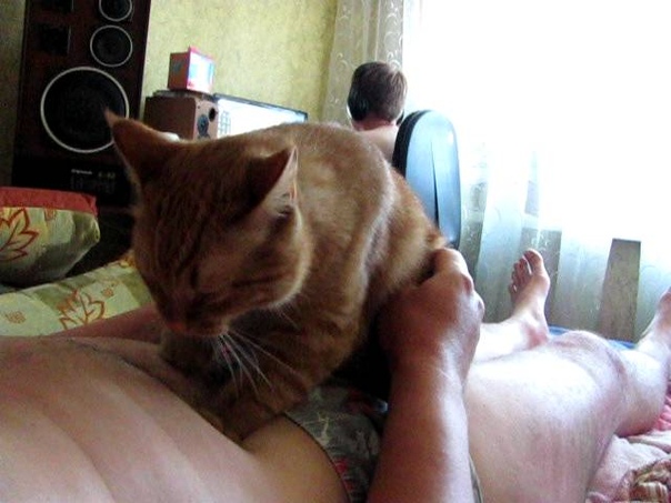 Девка Дрочит Коту Девка Дрочит Коту